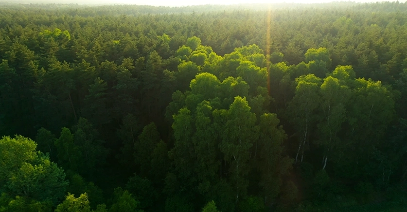 No double dipping, all carbon offsets are registered to one entity using blockchain.