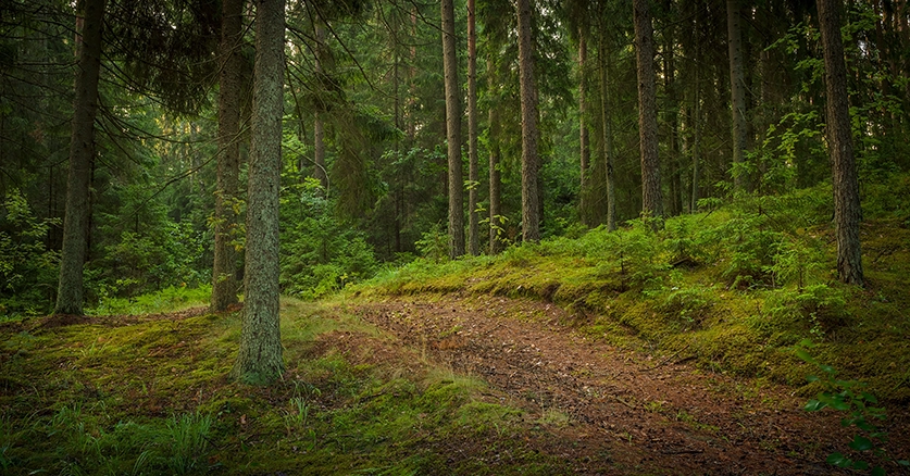 3DC helps reduce the carbon emissions from industry.